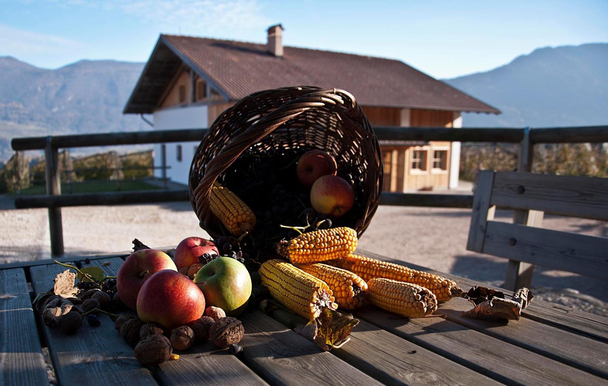 Agritur Maso Pra' Cavai B&B Balbido-rango Eksteriør billede