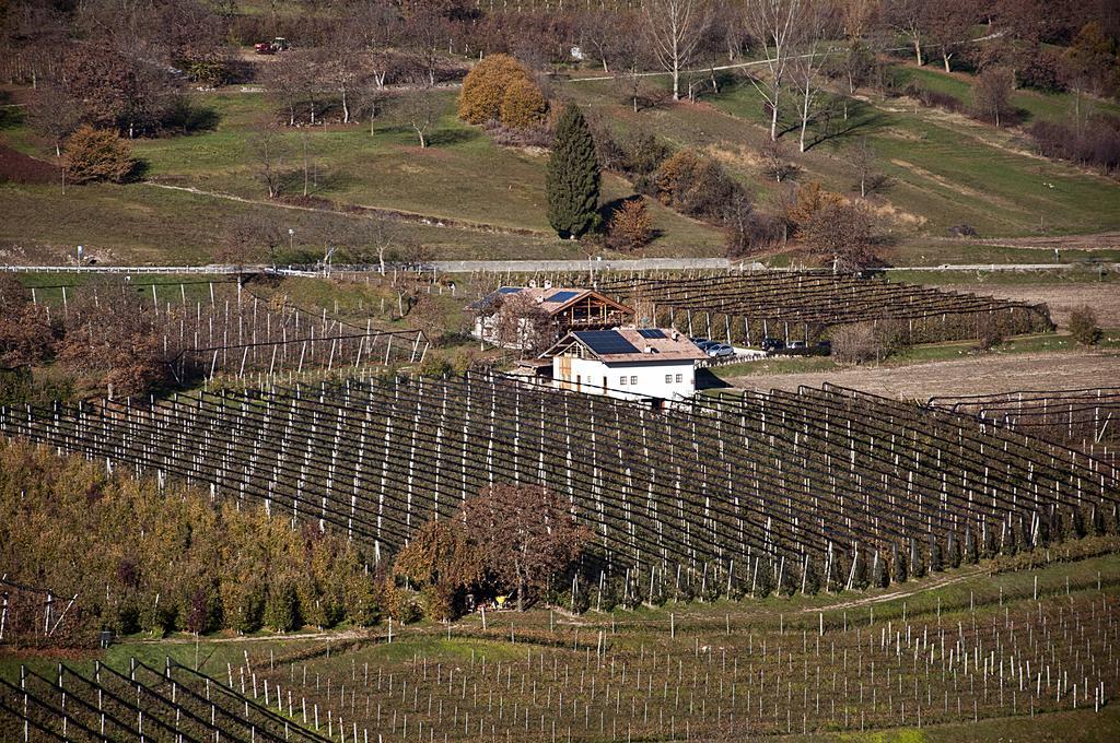 Agritur Maso Pra' Cavai B&B Balbido-rango Eksteriør billede