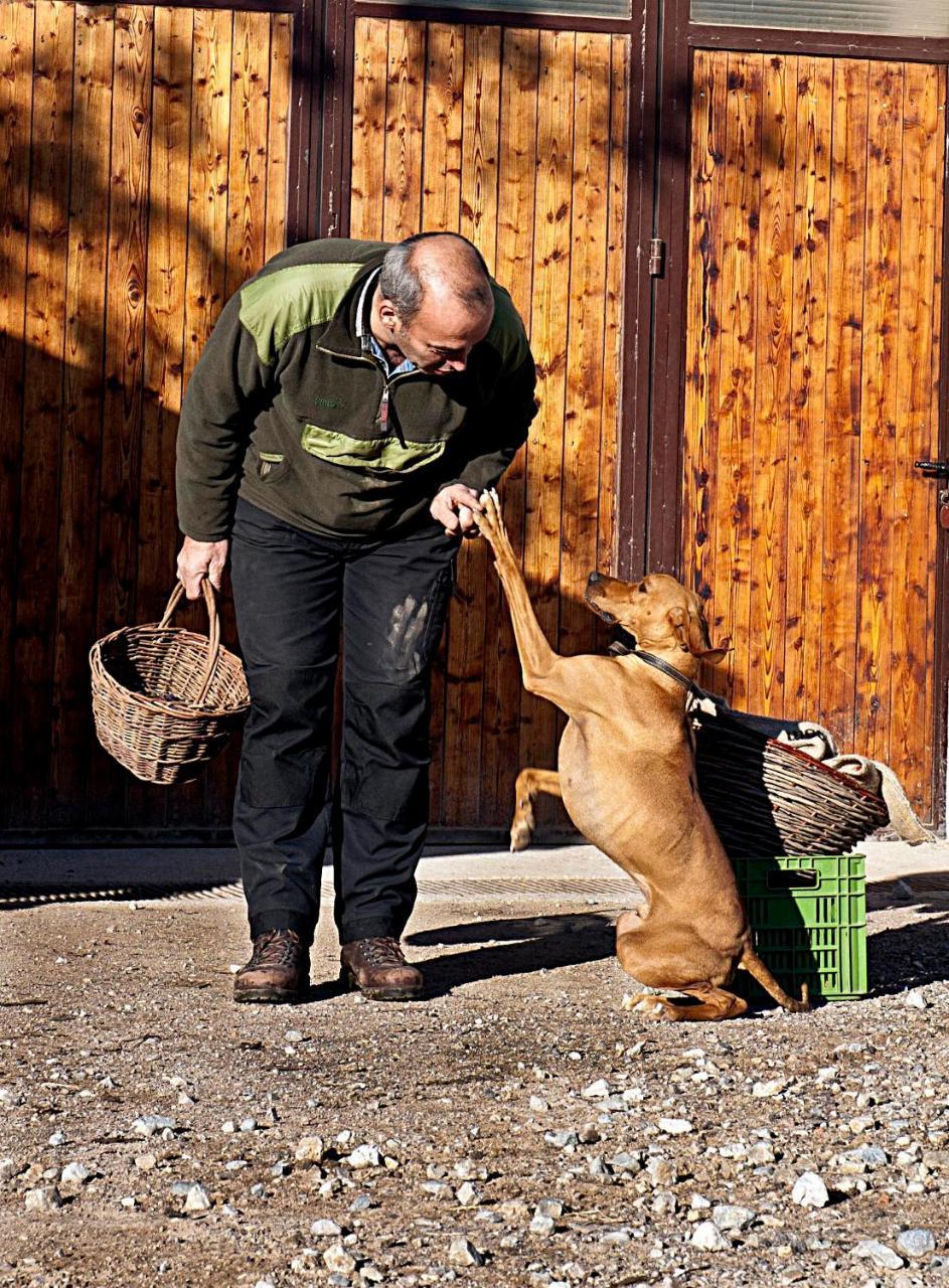 Agritur Maso Pra' Cavai B&B Balbido-rango Eksteriør billede